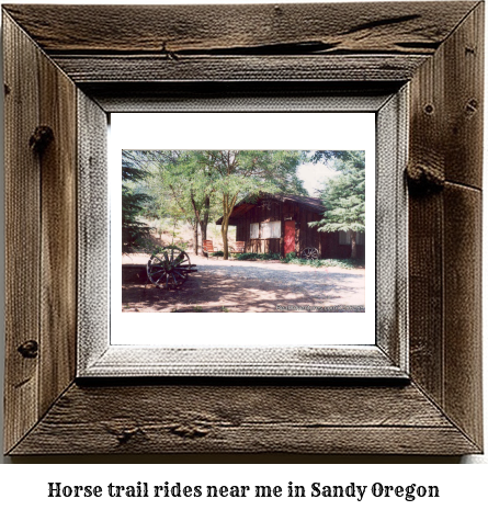 horse trail rides near me in Sandy, Oregon